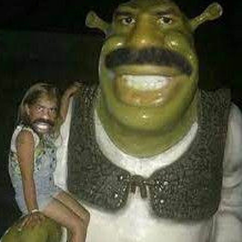 goofy ahh images - Turkish Shrek Goofy ahh