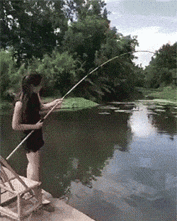 funny dad jokes about fishing and fish gif
