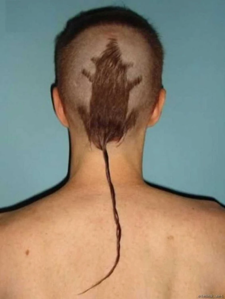goofy ahh haircut rat