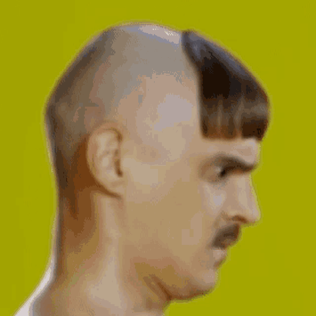 goofy ahh haircut