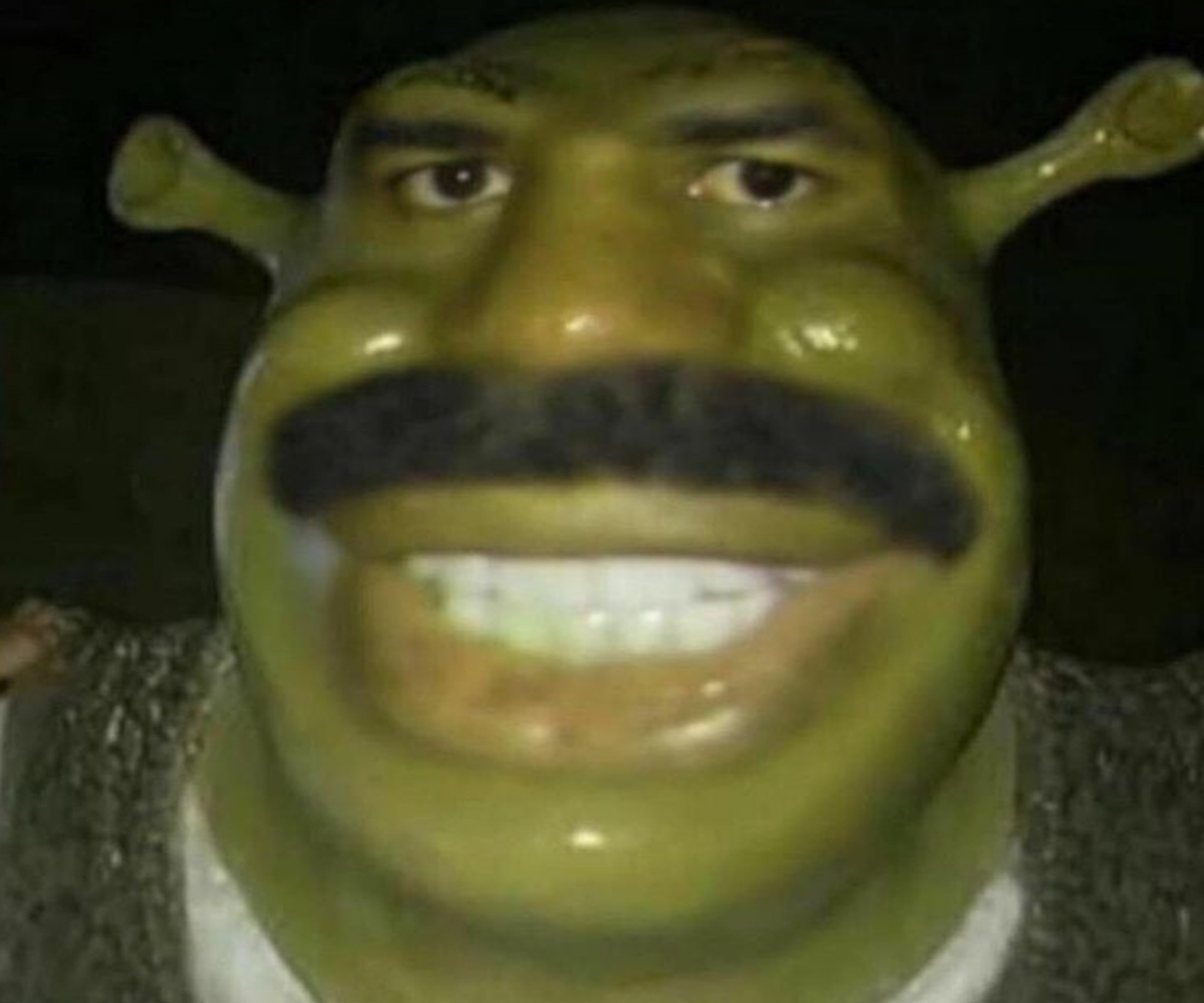goofy ahh shrek pictures
