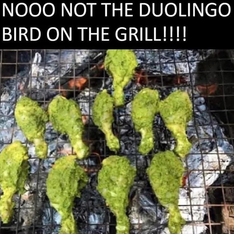 duolingo memes owl is dead