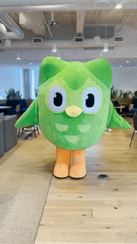 duolingo owl bird death meme