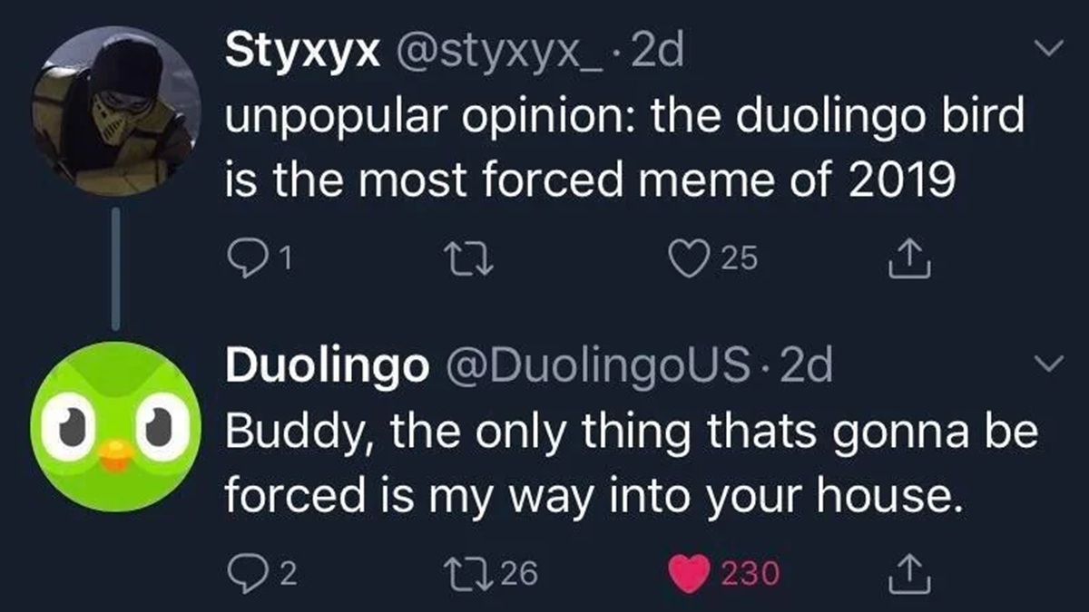 funny duolingo bird meme evil joke