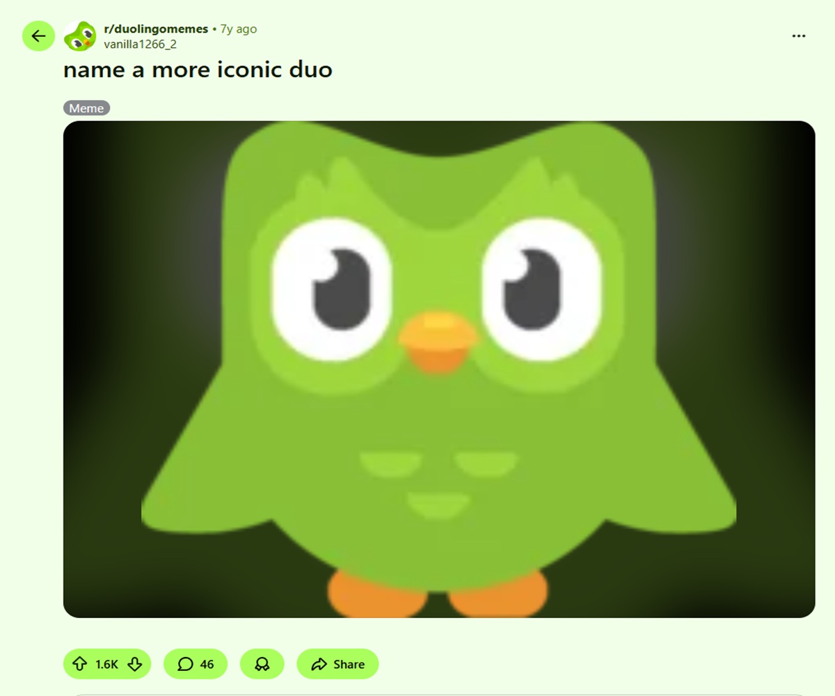 funny duolingo memes